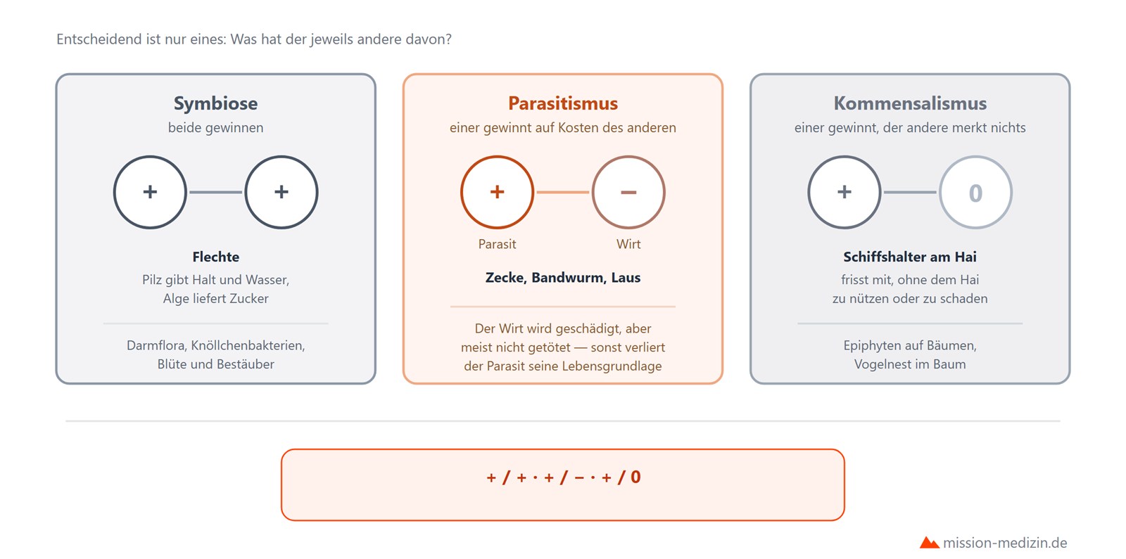 Symbiose, Parasitismus und Kommensalismus im Vergleich mit Plus-Minus-Schema