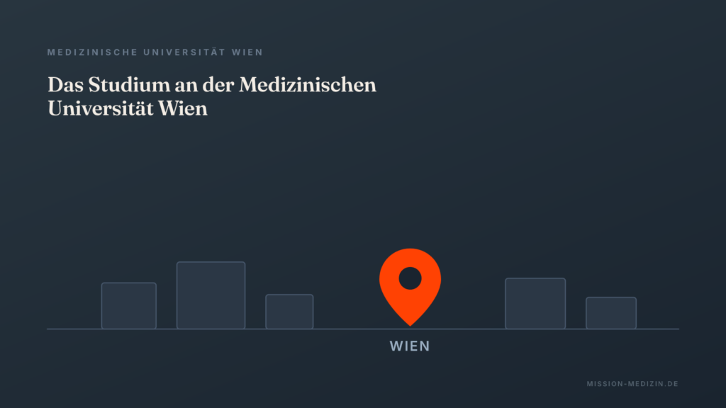 Das Studium an der Medizinischen Universität Wien