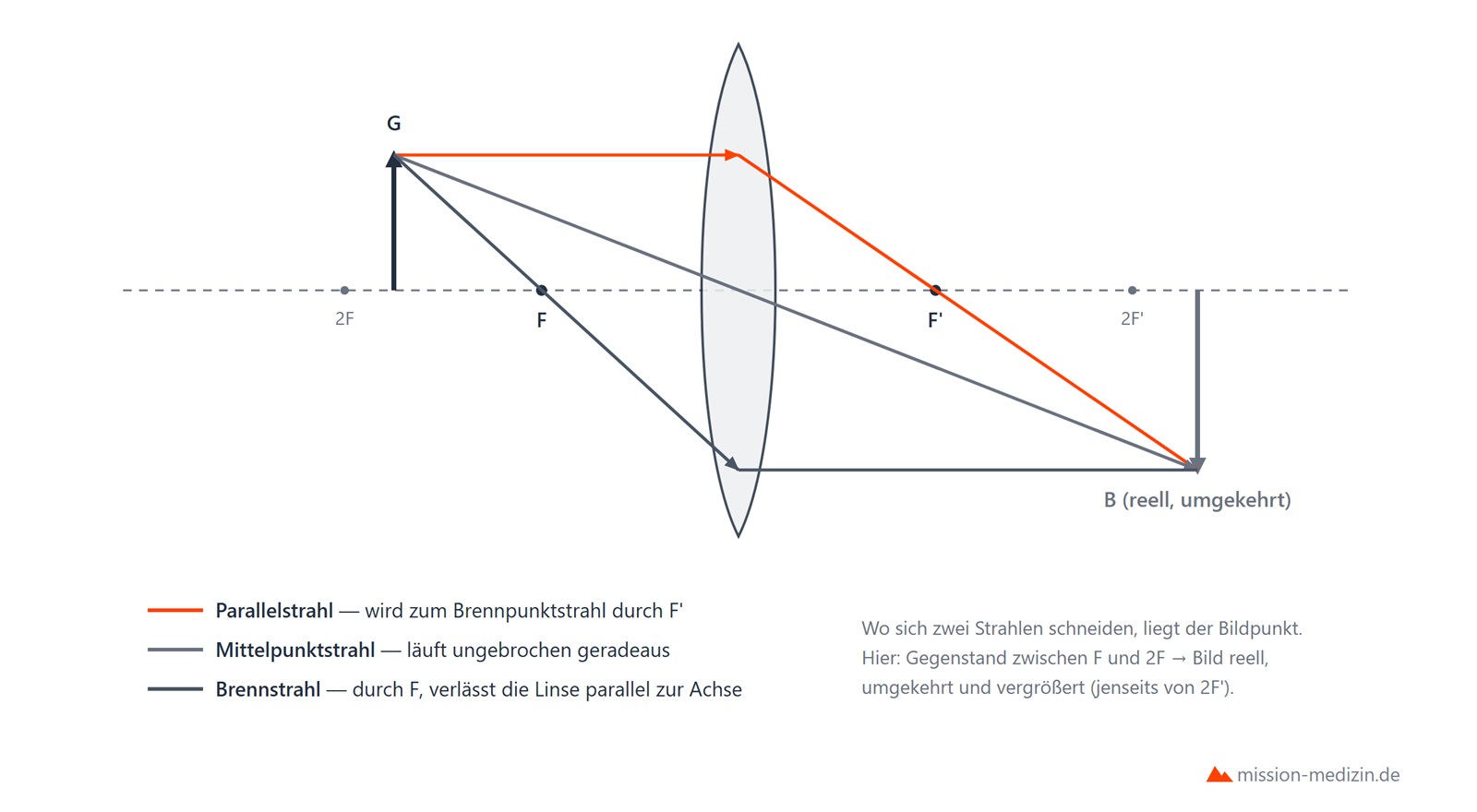Bildkonstruktion an der Sammellinse mit den drei Grundstrahlen: Parallelstrahl, Mittelpunktstrahl und Brennstrahl