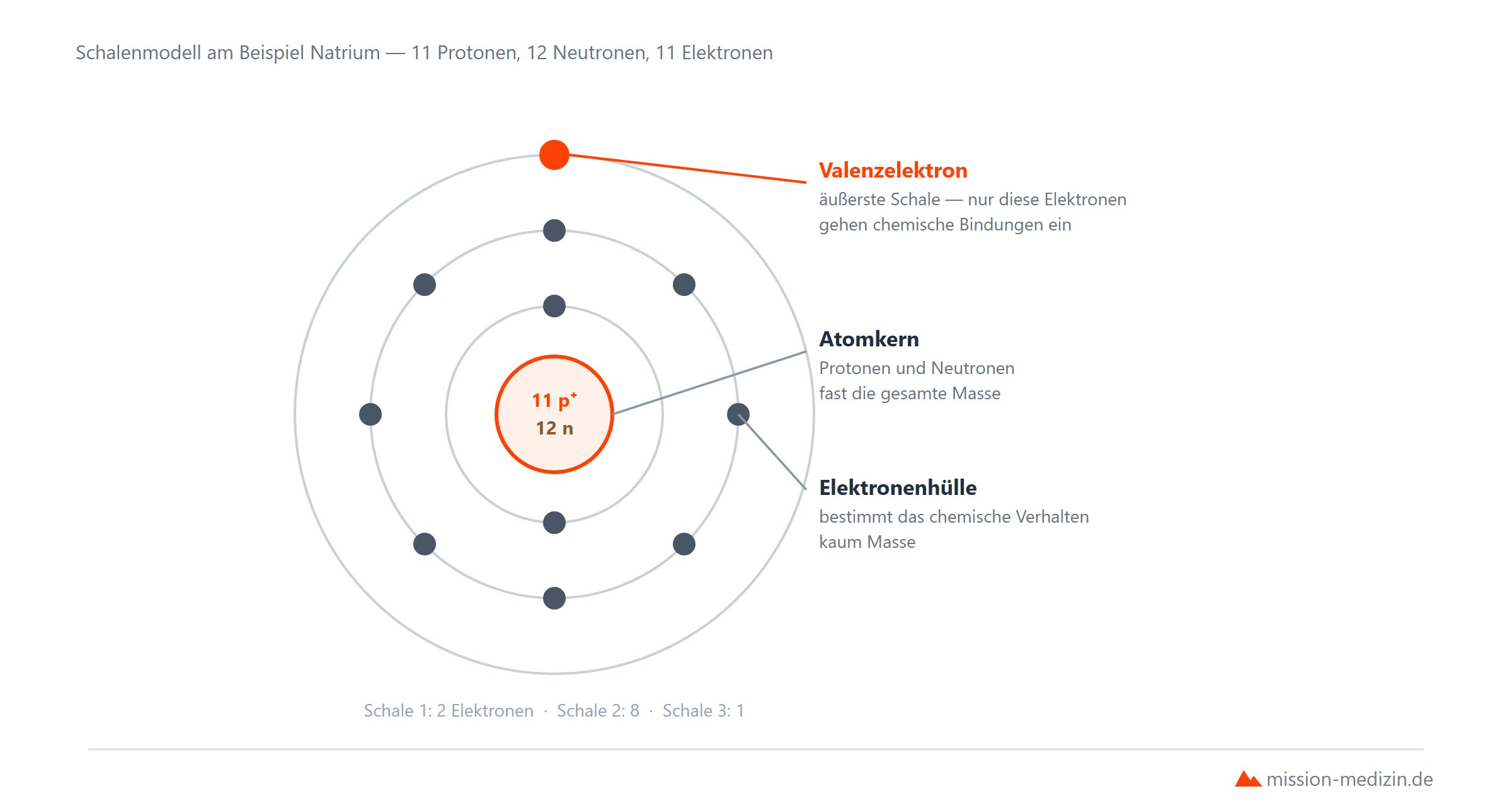 Atomaufbau mit Kern und Elektronenhuelle im Groessenverhaeltnis