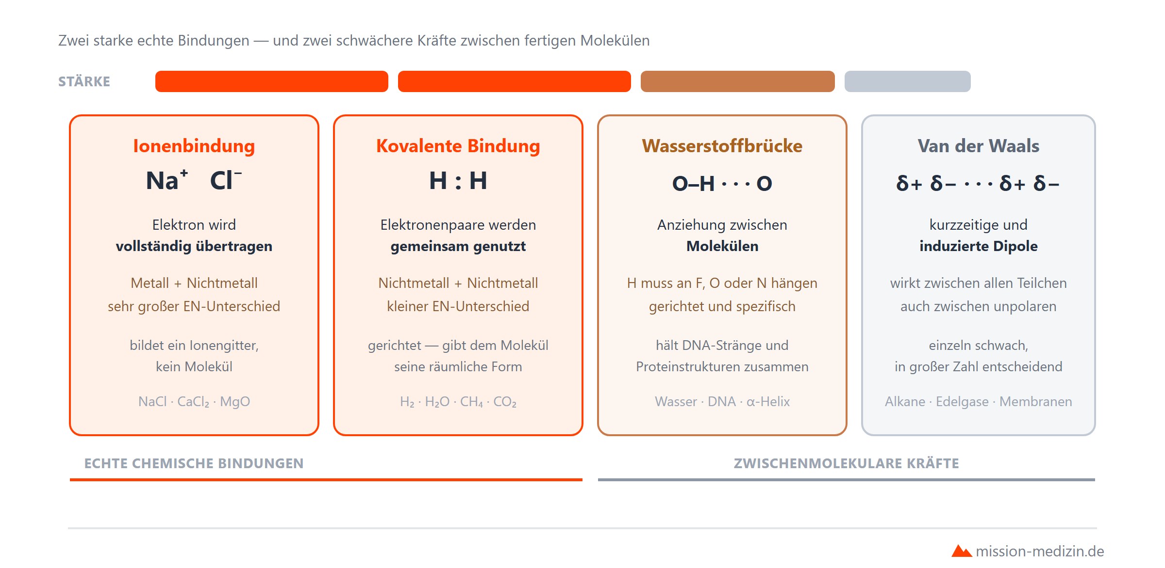 Die Bindungsarten im Ueberblick