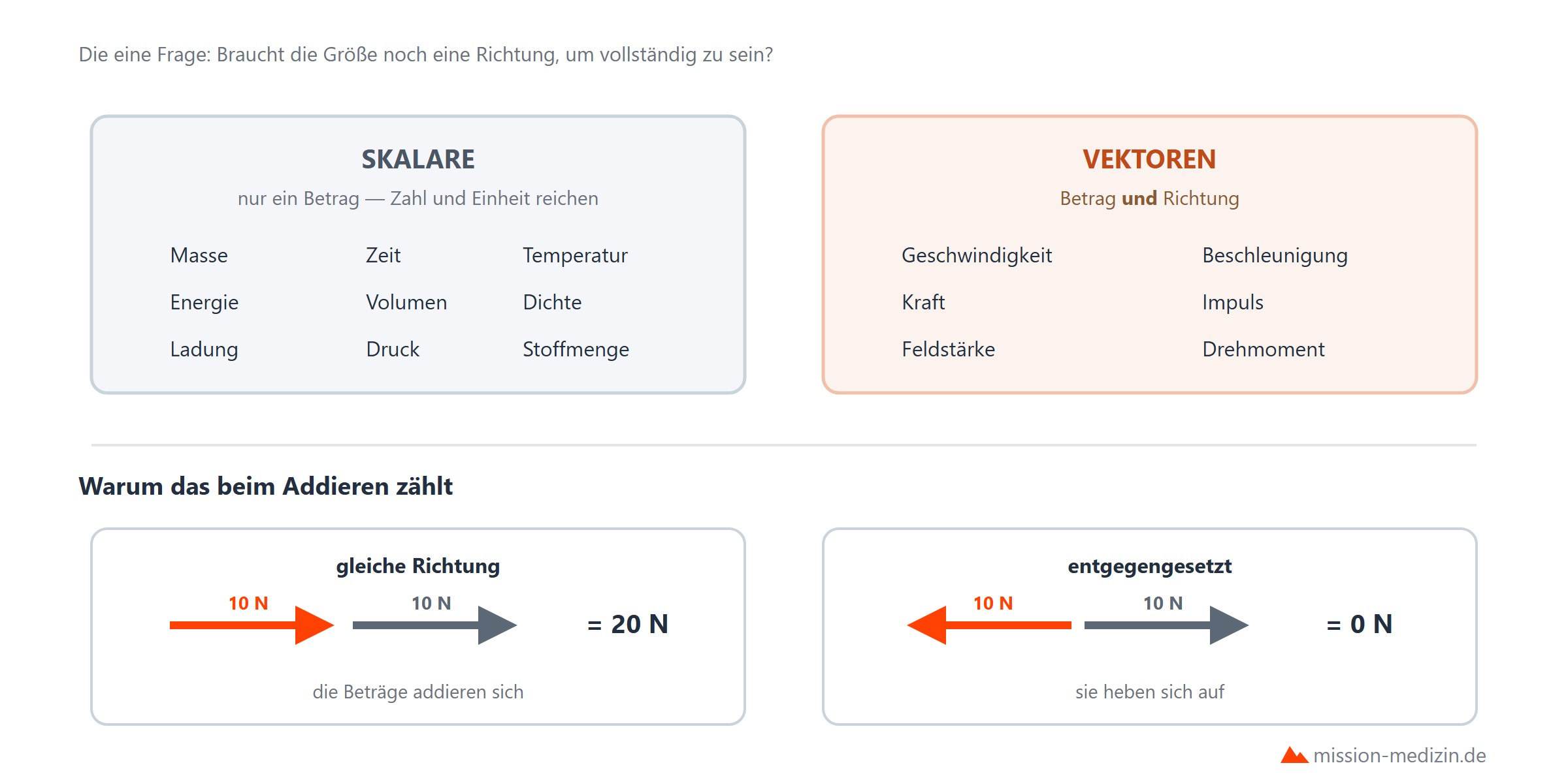 Skalare und vektorielle Groessen im Vergleich