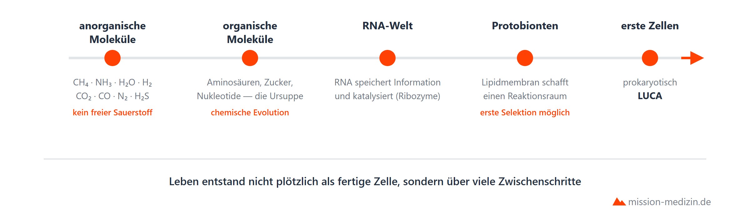 Chemische Evolution: von anorganischen Molekuelen zu Biomolekuelen