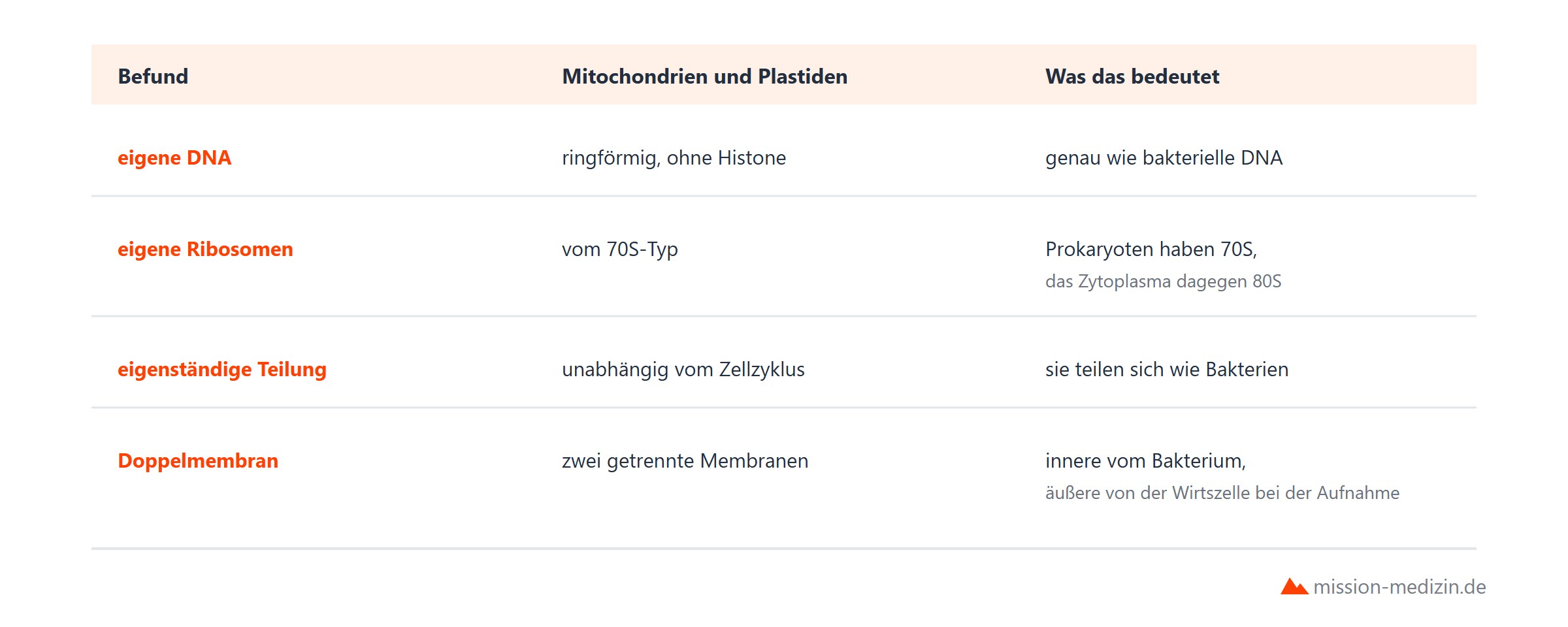 Belege fuer die Endosymbiontentheorie