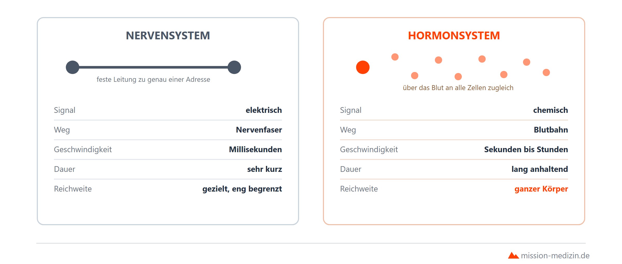 Vergleich von Nervensystem und Hormonsystem in Signalart, Weg, Geschwindigkeit, Dauer und Reichweite
