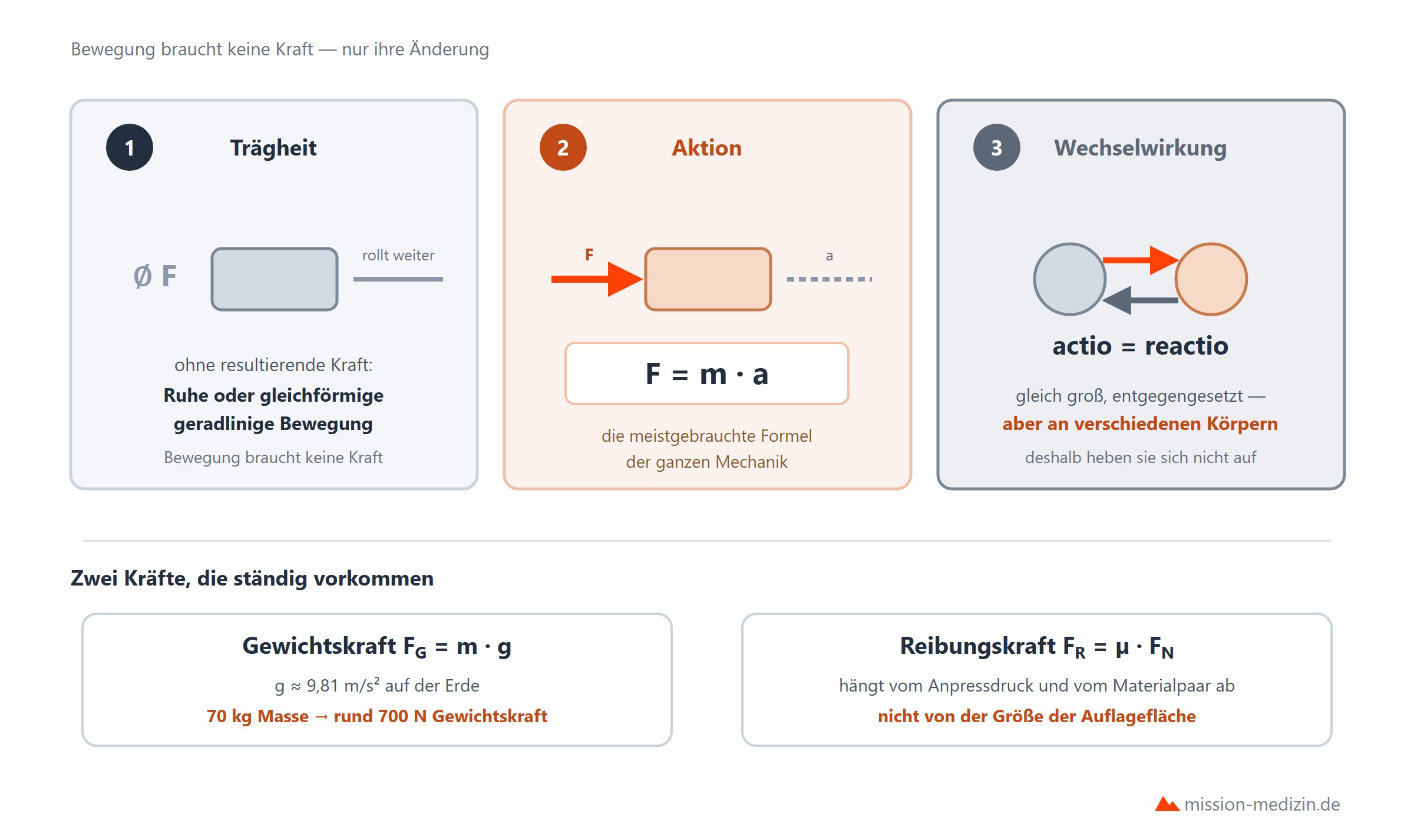 Die drei Newtonschen Axiome mit Gewichts- und Reaktionskraft