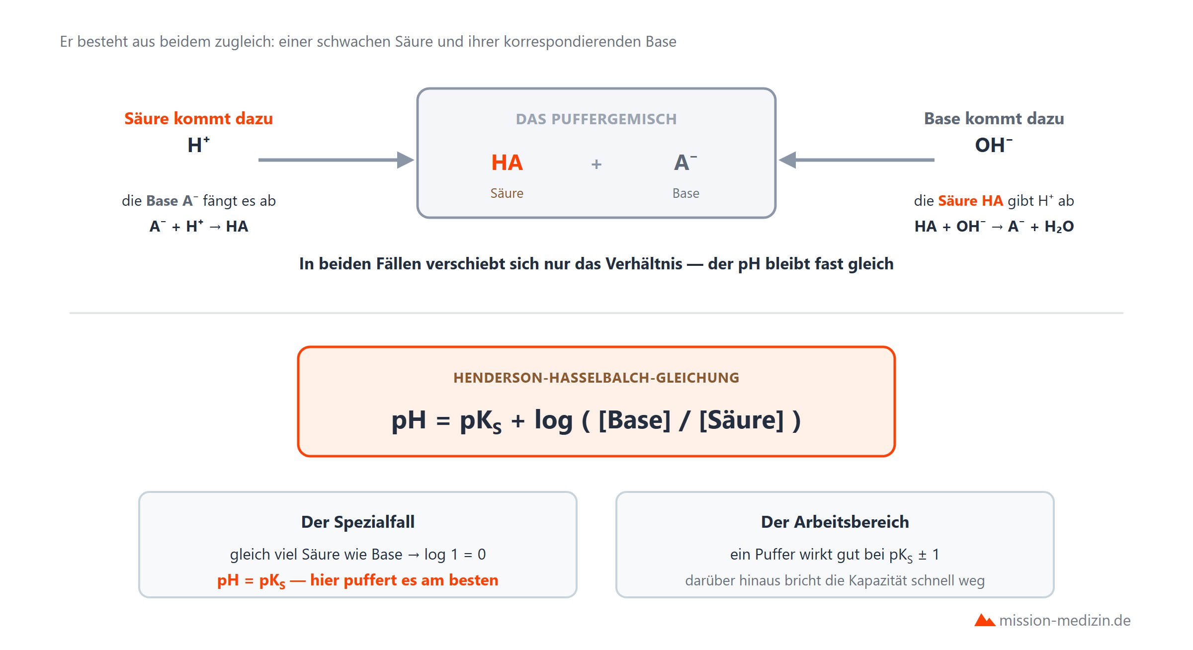 Puffersysteme: Wirkungsweise und Pufferbereich