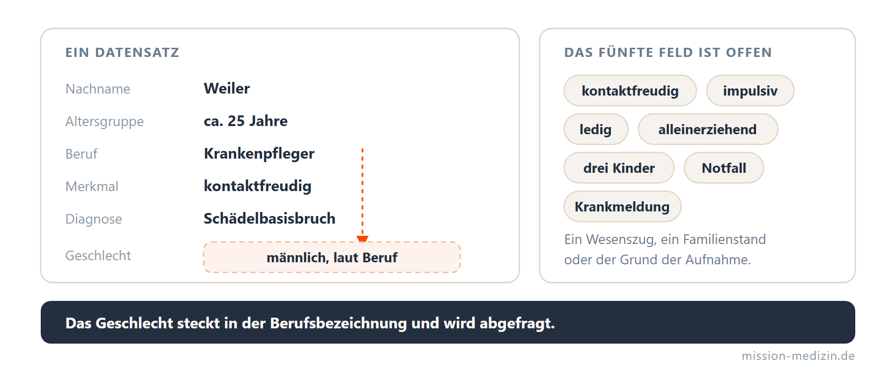 Ein Datensatz mit Nachname, Altersgruppe, Beruf, Merkmal und Diagnose; das Geschlecht wird aus der Berufsbezeichnung abgeleitet. Daneben Beispiele für das offene fünfte Feld.