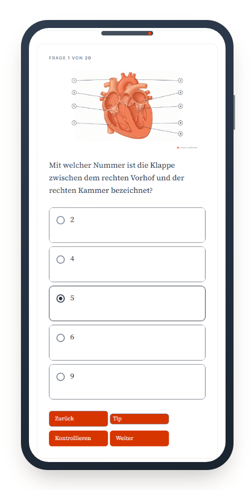 Ein Test auf dem Handy: Prüfbild des Herzens mit nummerierten Markierungen und fünf Antworten
