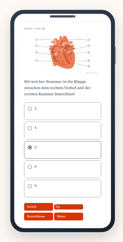Ein Test auf dem Handy: Prüfbild des Herzens mit nummerierten Markierungen und fünf Antwortmöglichkeiten